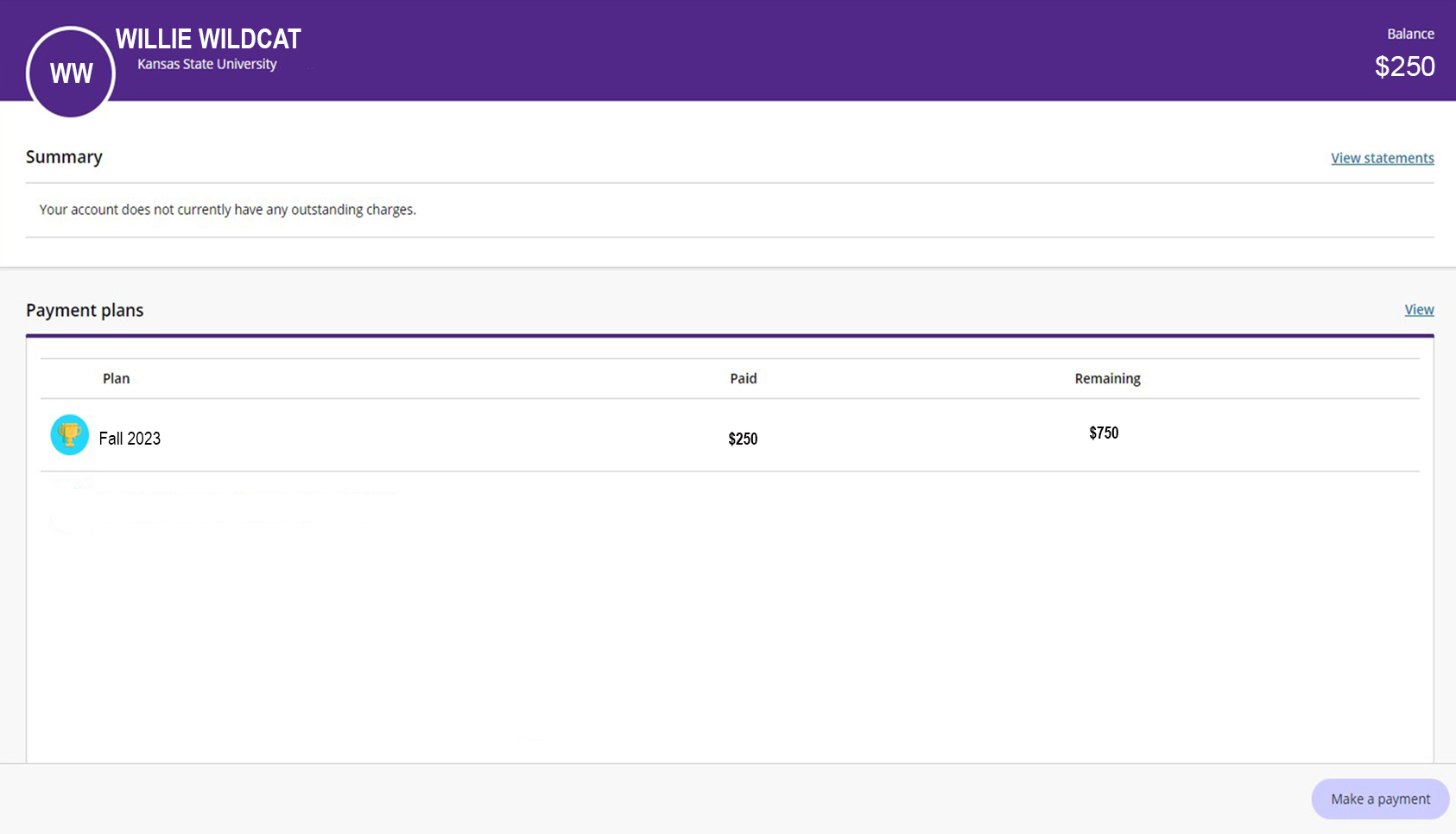 transact homepage with payment plan