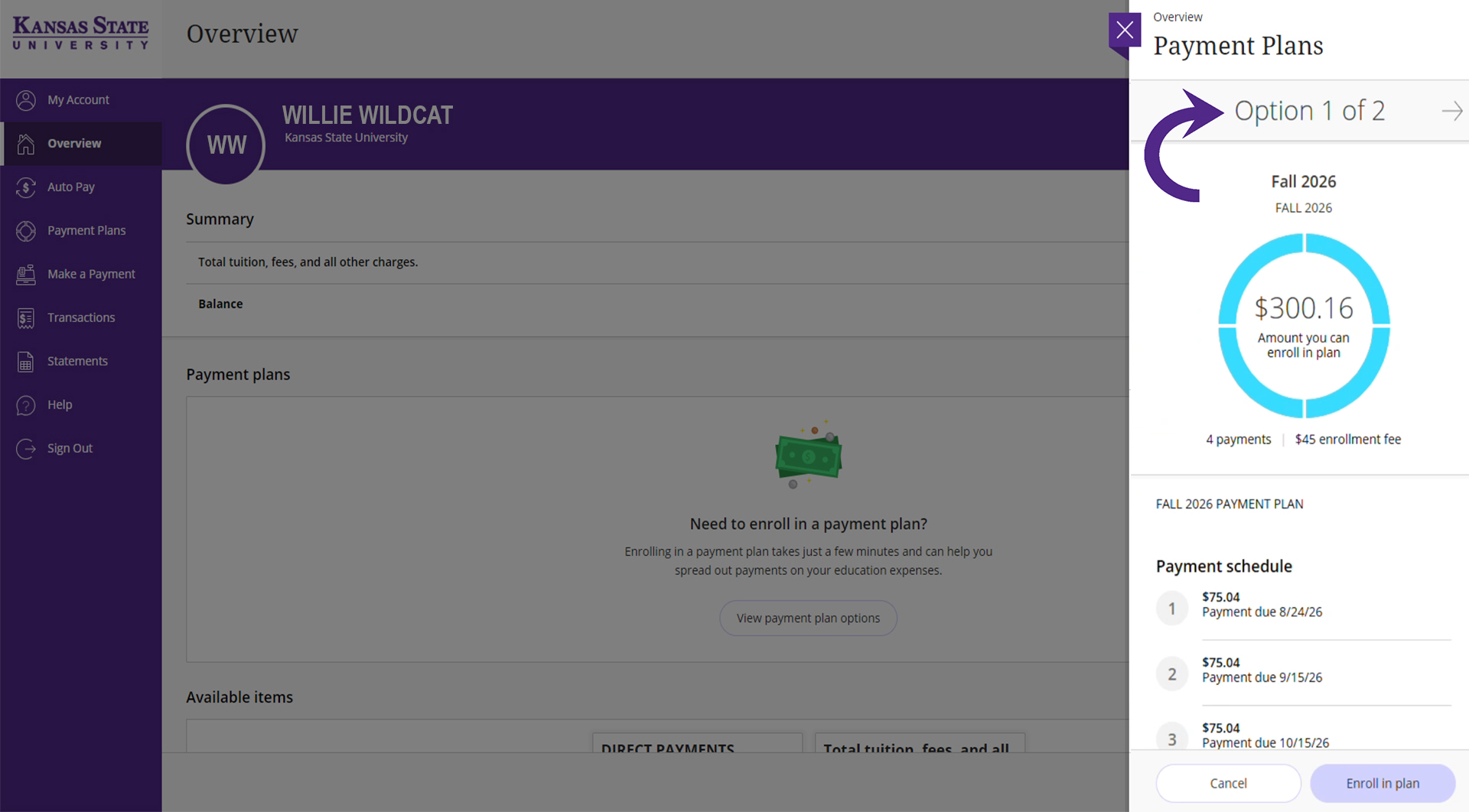 A payment plan pop-up on the right side of the screen showing an option for enrolling in the TIPP plan.