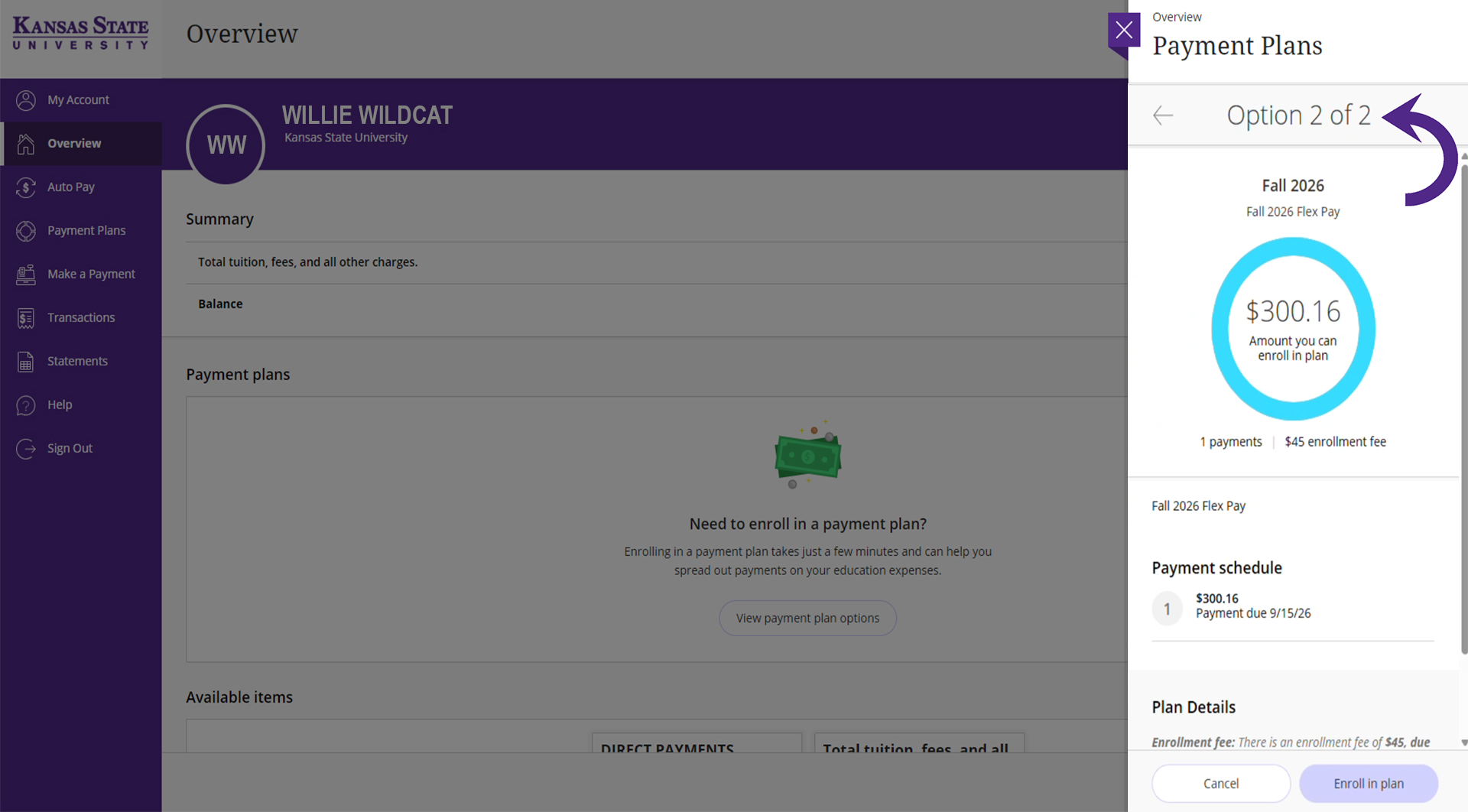 Option 2 showing the Flex Pay plan