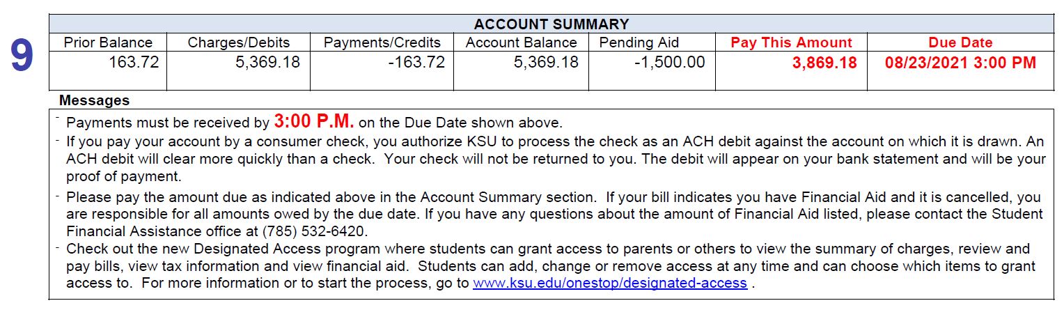 This is the bottom of a student bill. The header states Account Summary. Beneath Account Summary is a row of with headers: Prior Balance, Charges/Debits, Payments/Credits, Account Balance, Pending Aid, Pay This Amount, and Due Date. The number 9 is beside this row of headers. 
