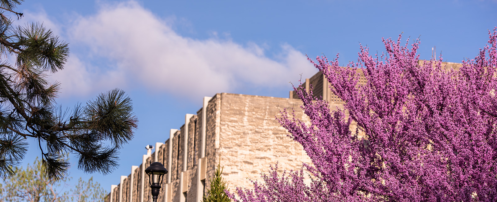 Campus Flowers