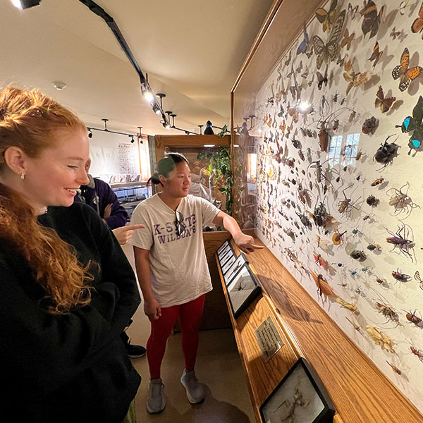Students looking at a wall full of butterflies at a zoo exhibit