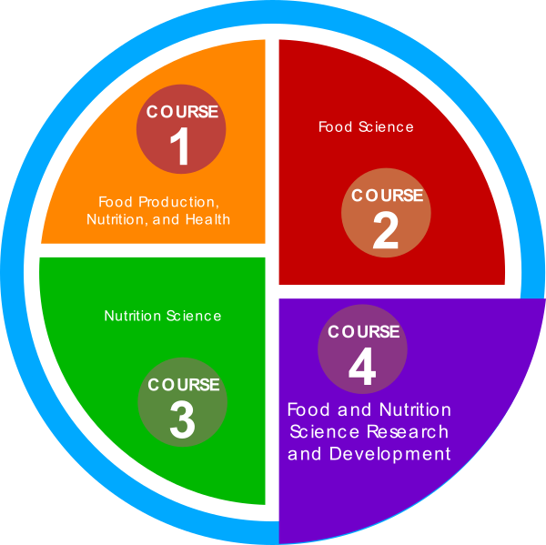 course_four_icon