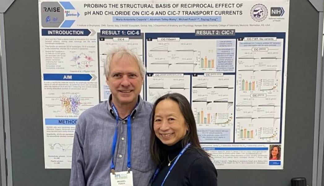 Poster Presentation at Biophysical Society, 2025