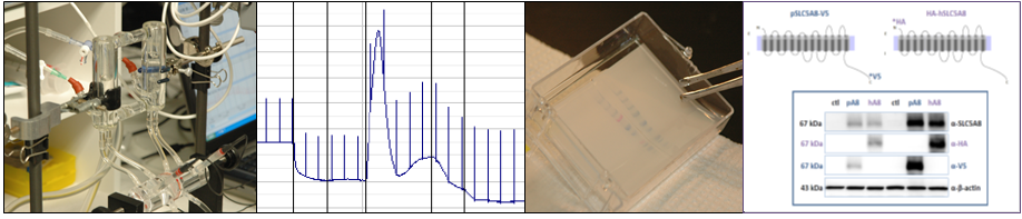methods used in lab