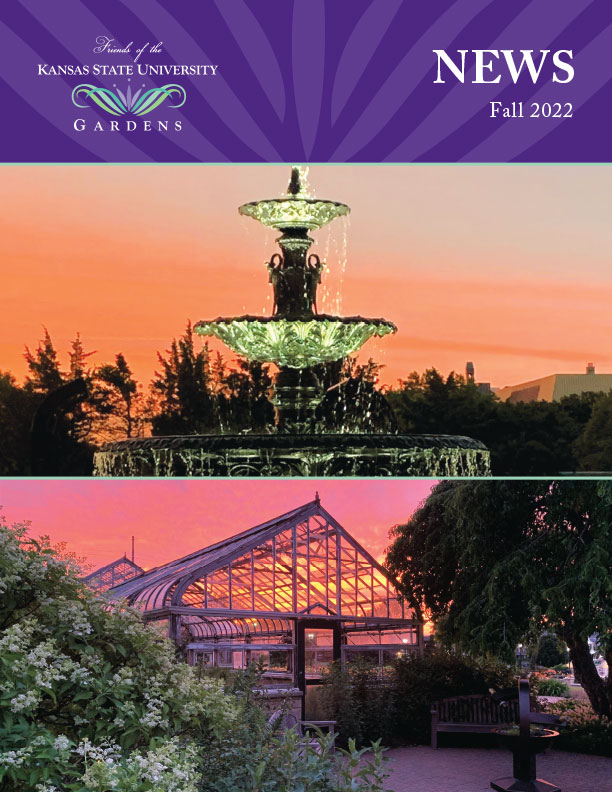 newsletter