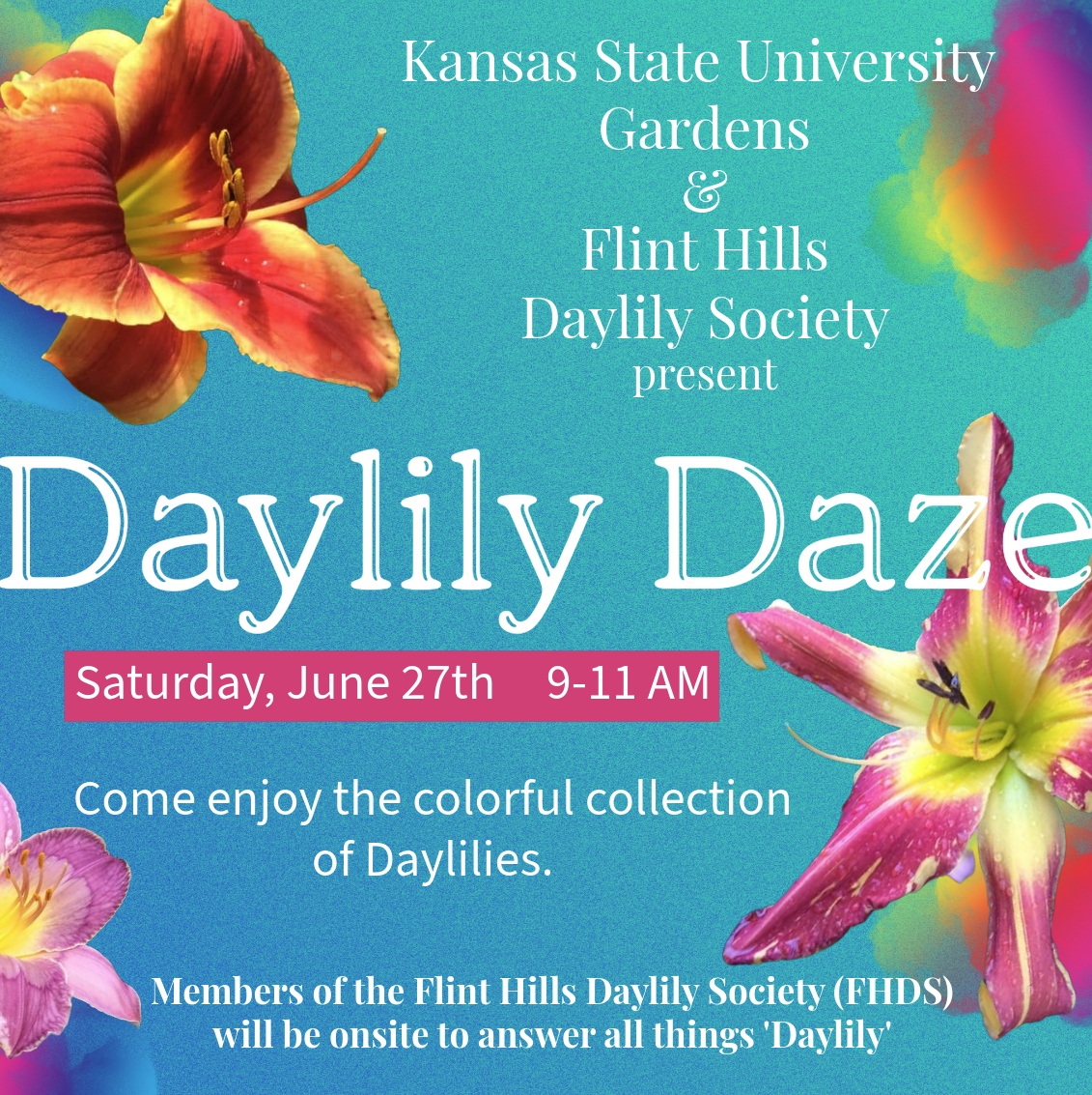 turquoise background with red and pink daylilies announcement for Daylily Daze June 27th