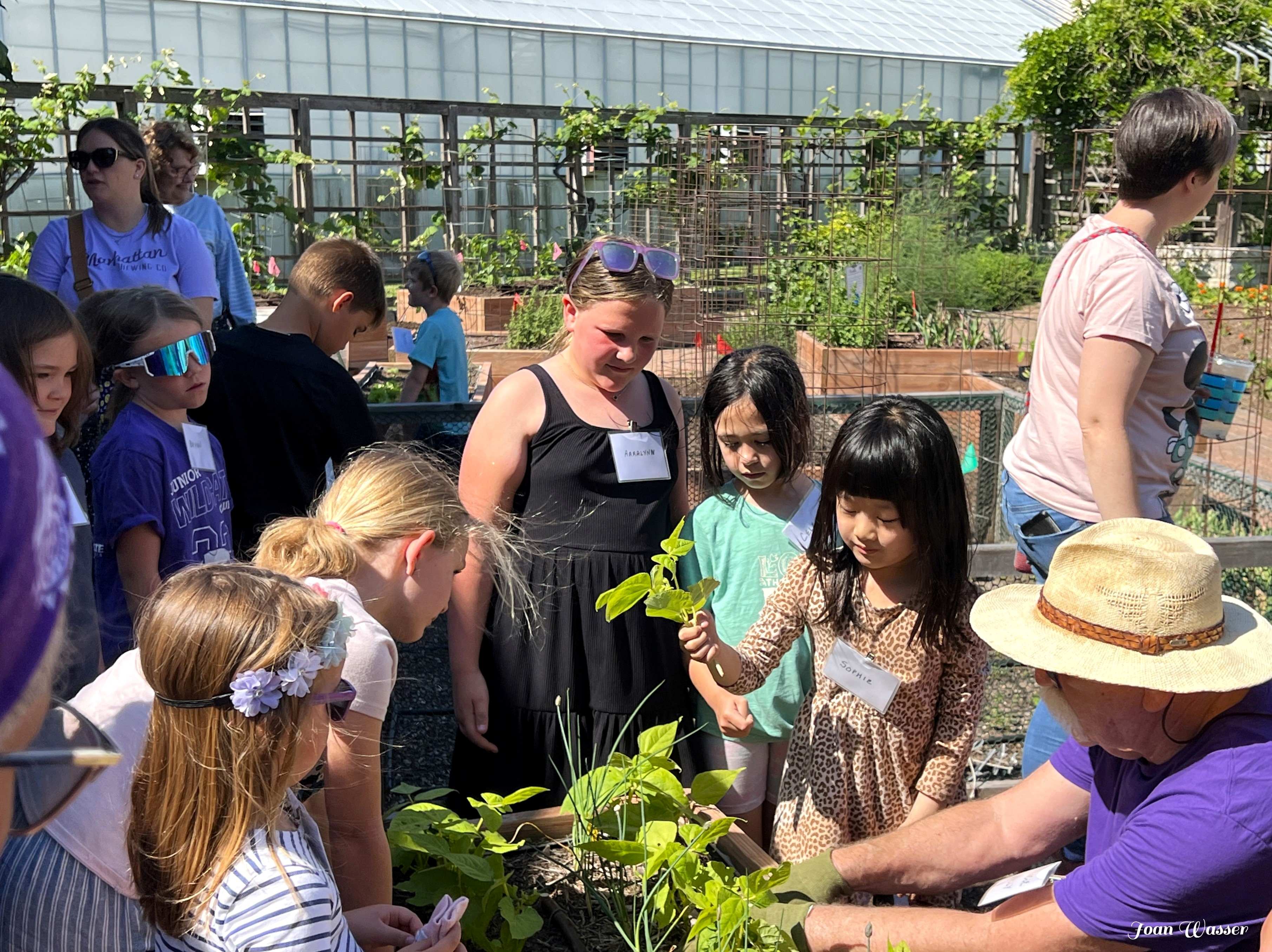 Children and adults planting vegetables in a raised bed