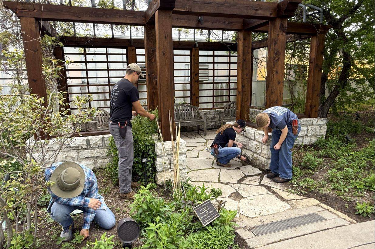 Students using hand tools to clear weeds in garden beds