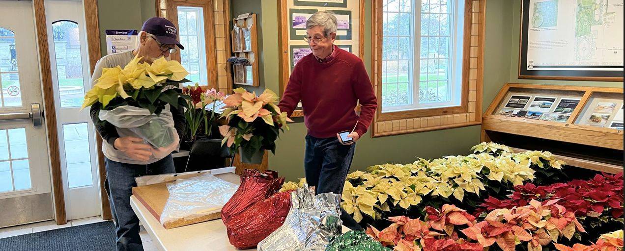 Two volunteers holding white and pink poinsettia plants standing in front of rows of white, red, and pink poinsettias