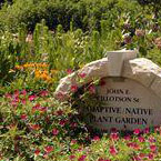 Adaptive Native Garden