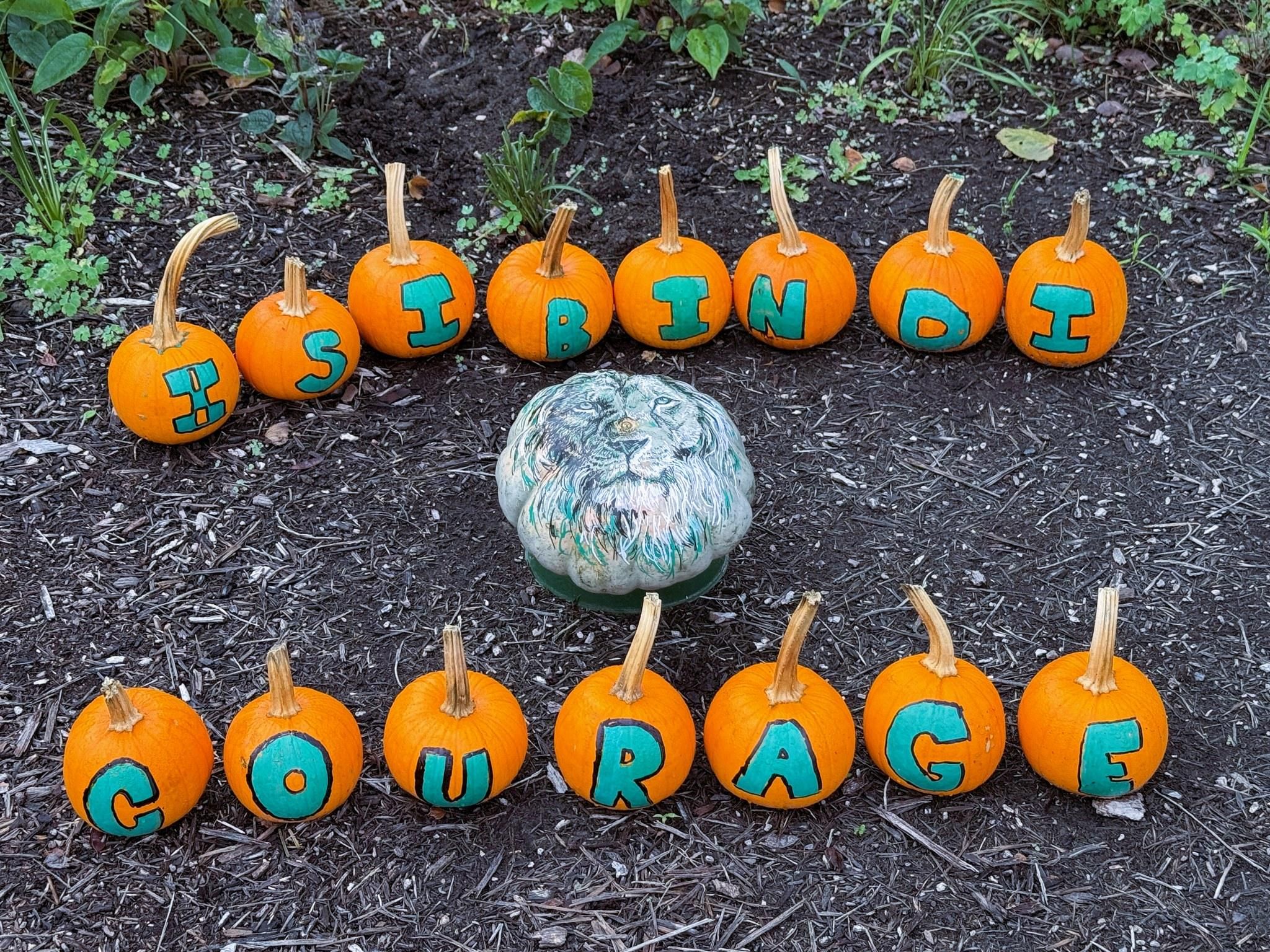 small orange pumpkins painted with individual letters that spell out the works isibindi courage with a lion painted on a white pumpkin in the middle