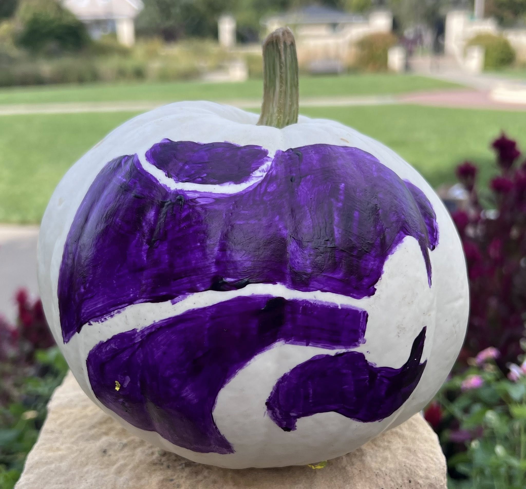 white pumpkin with powercat in purple