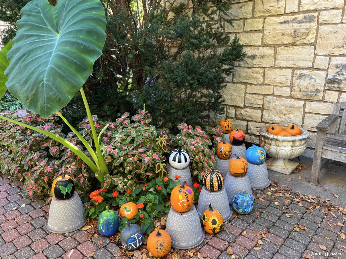 painted pumpkins sitting on upside down pots in front of pink flowers and elephant ear plants