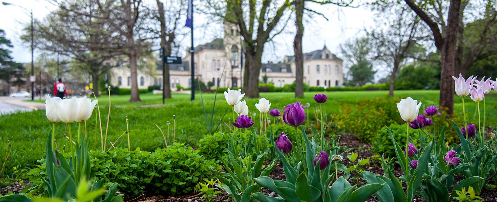 Flowers in front of Anderson Hall