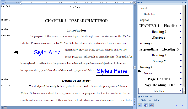 Image showing the Style Area and Styles Pane.
