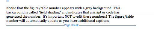 Image showing what a page break looks like in Word