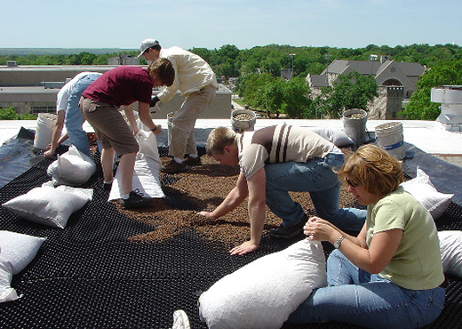 Seaton Hall Upper Green Roof Installation Team