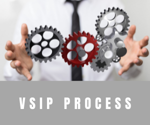 VSIP Process