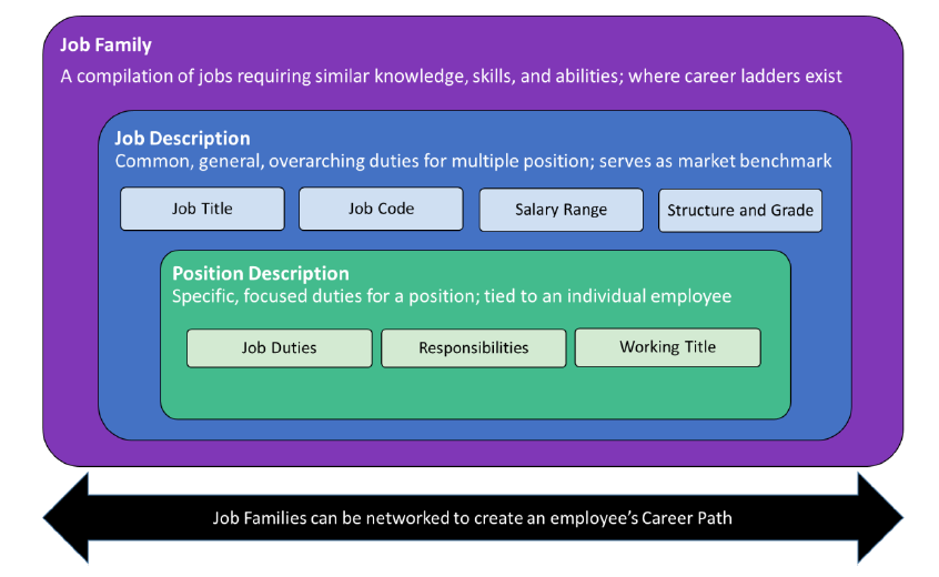 Job hierarchy