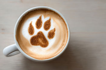 espresso with paw print