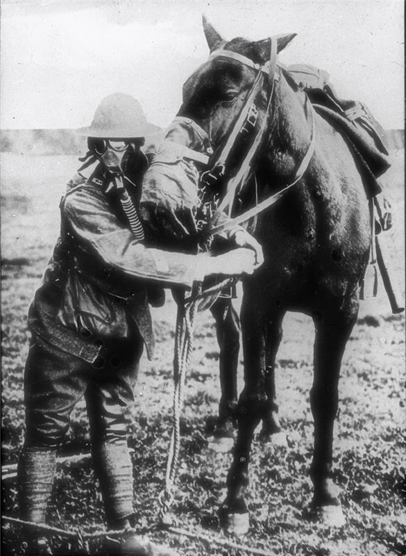 HIST 357 Chemical Warfare (illustration only)