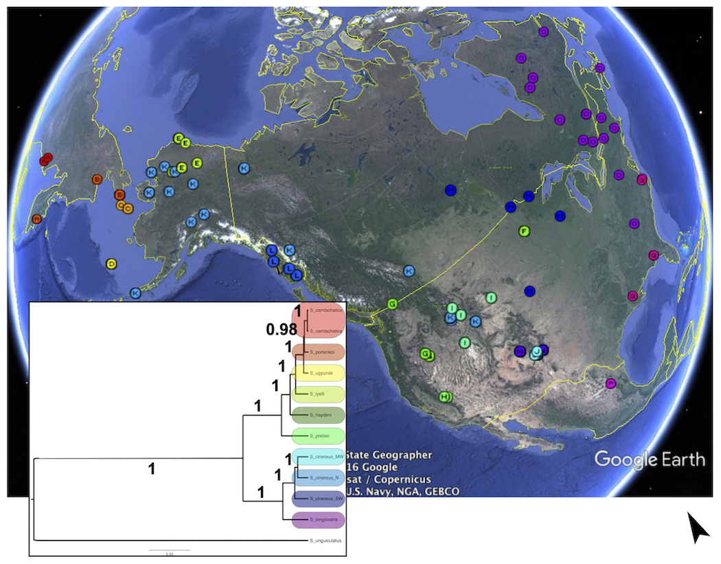 mitogenome sampling