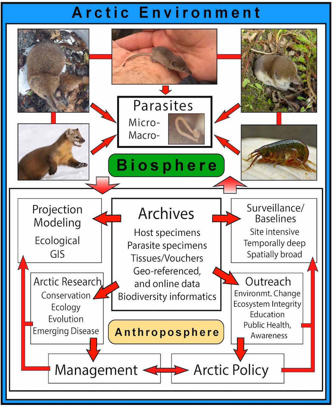 research_schematic