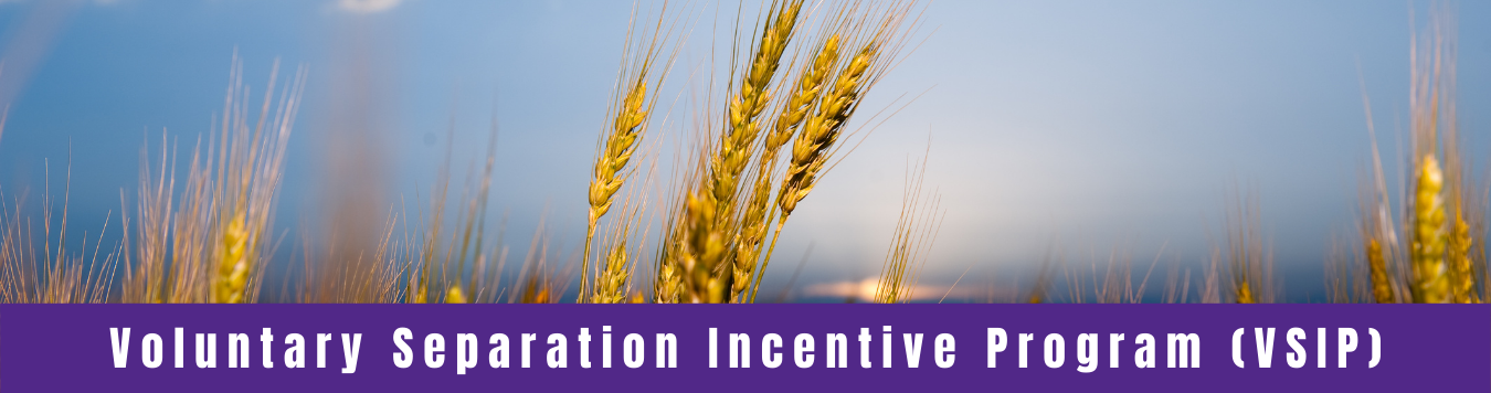 Voluntary Incentive Program