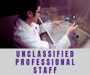 Unclassified Professional Staff
