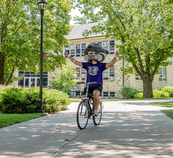 willie wildcat riding a bicycle with his arms raised