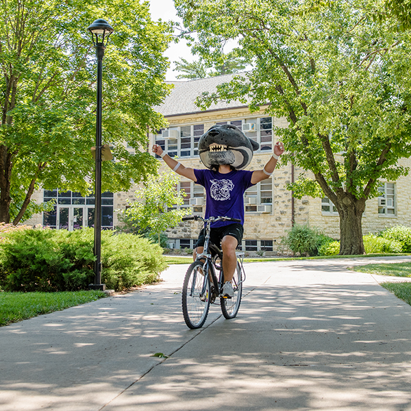 willie wildcat riding a bicycle with his arms raised