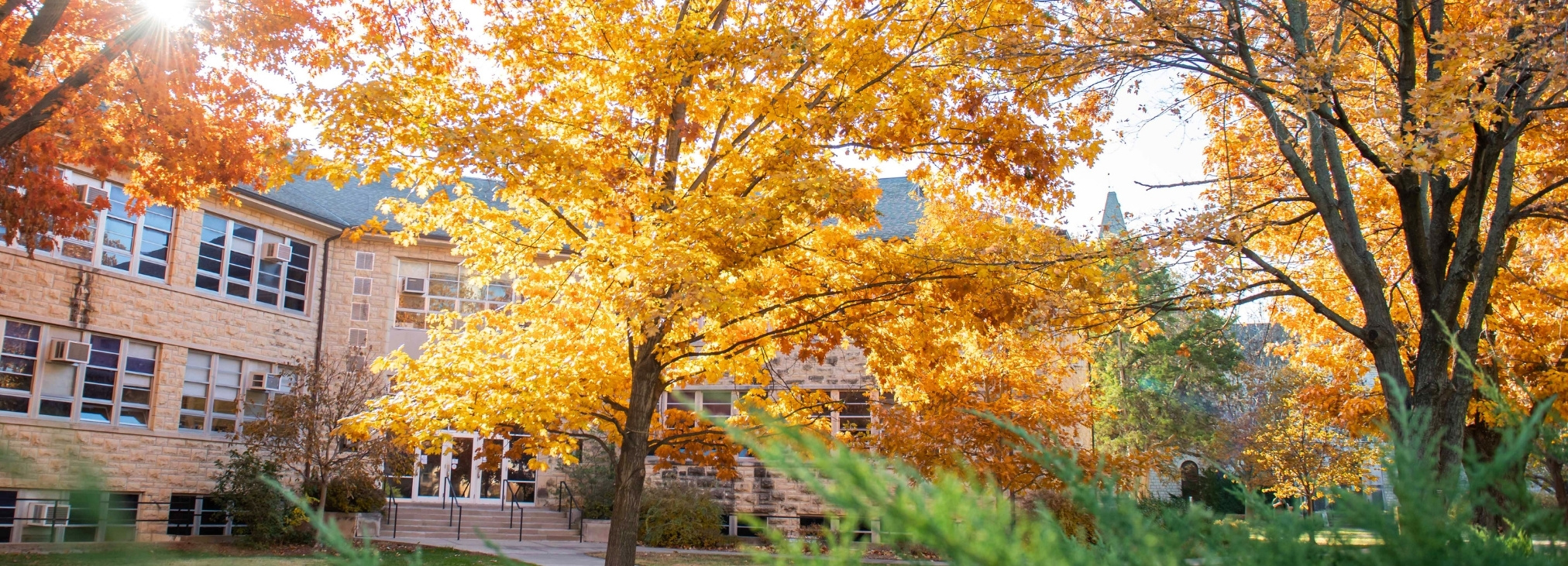 Fall foliage on the Kansas State University campus.