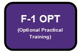 F1OPT