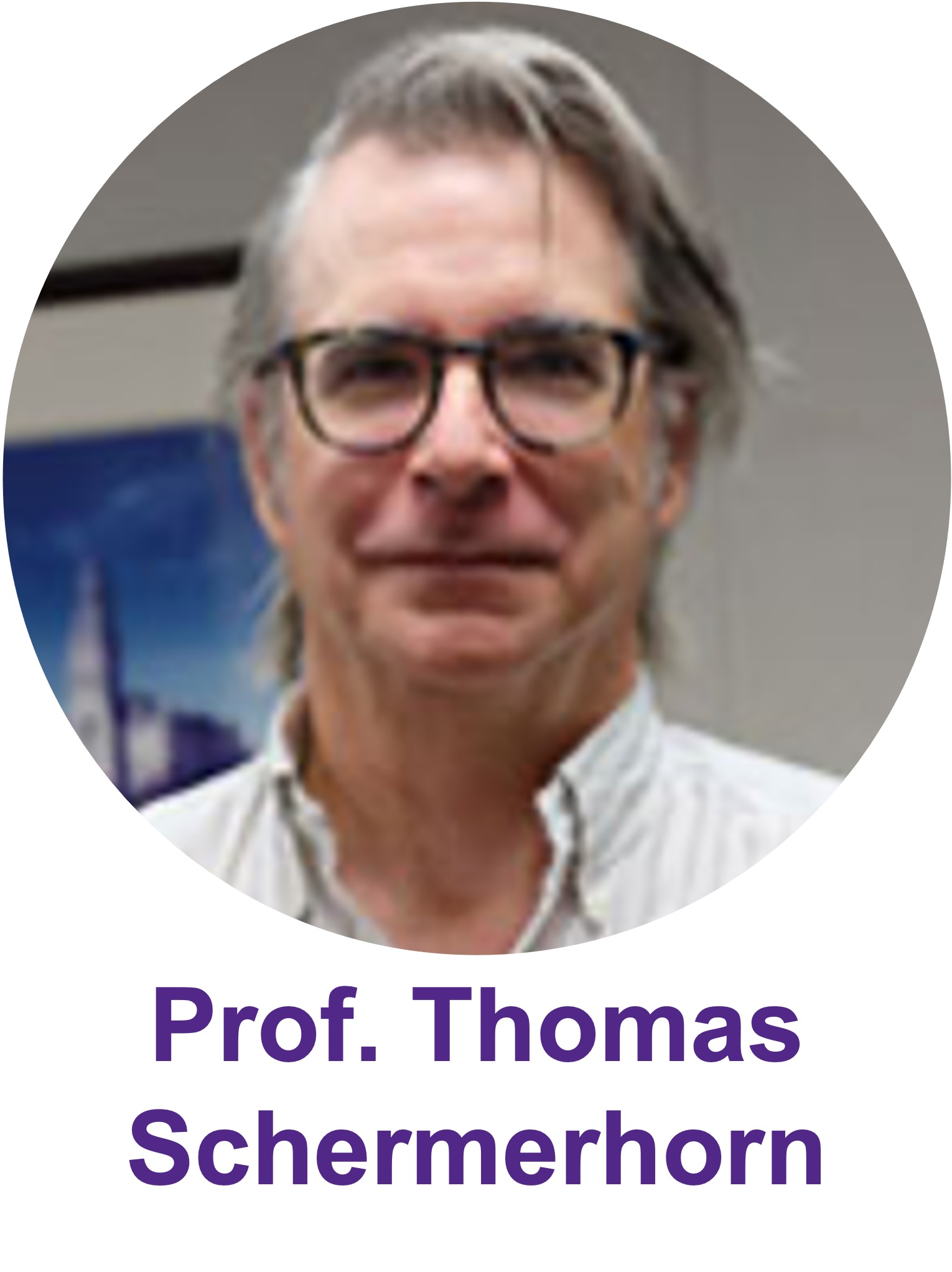 Prof Schermerhorn