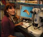 Holly Davis, Insect Diagnostician