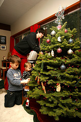 Include a picture of the whole tree, friends and family are welcome to be in the photos
