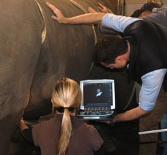 Dr. Beard, Dr. Okeson and Dr. Loftin ultrasound the mass prior to the procedure.