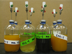Bioreactors used for the study