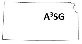 A3SG Logo