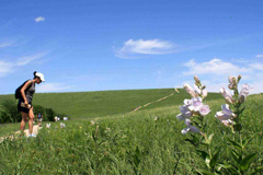 Konza hikers admiring wildflowers