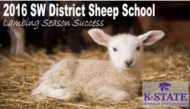 SW Dist Sheep School