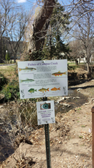 Installed signs by the Quinlan Nature Area Bridge