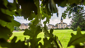 Kansas State University's Anderson Hall through oak tree leaves.