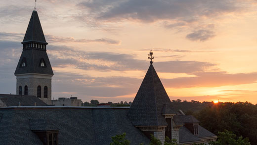 Rooftops at sunset