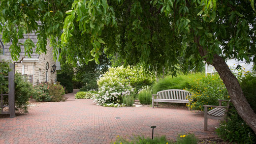 A bench at the Kansas State University Gardens