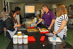 Participants making pet food treats. 