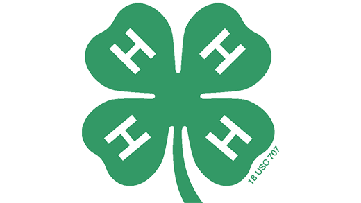 4-H Clover