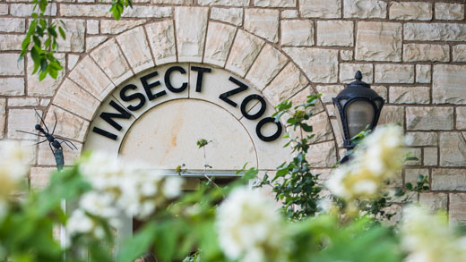 Insect Zoo