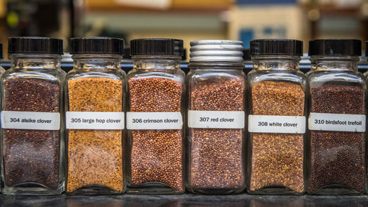 Jars of seeds in a agronomy lab